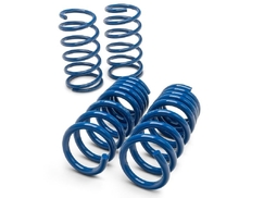 Herrod Performance S650 Lowering Spring Set (2024+)