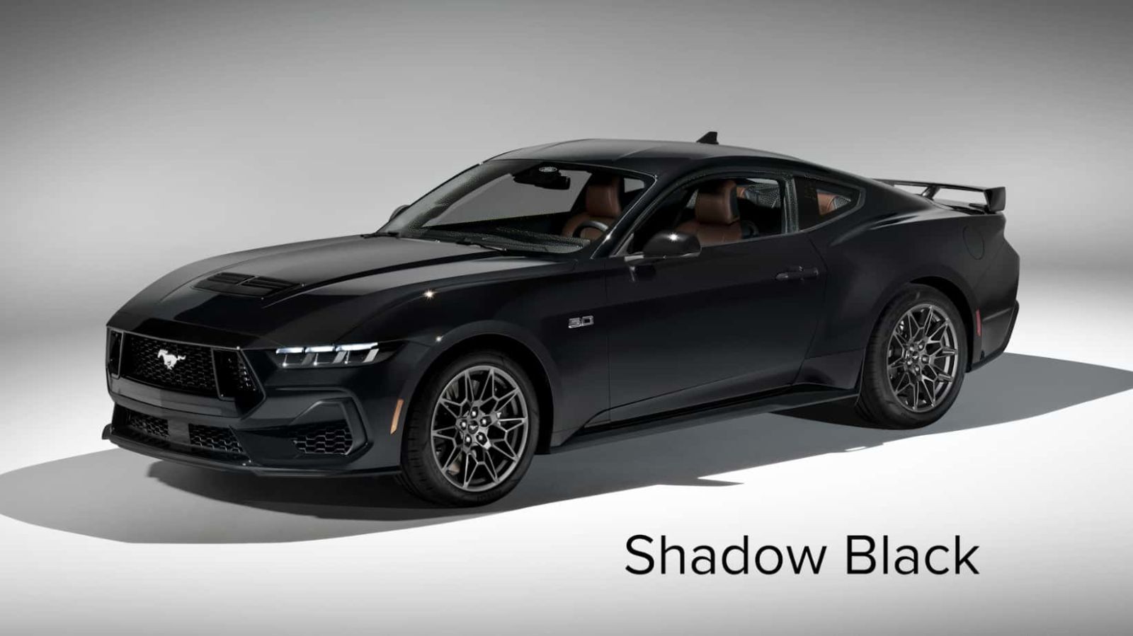 Mustang Shadow Black