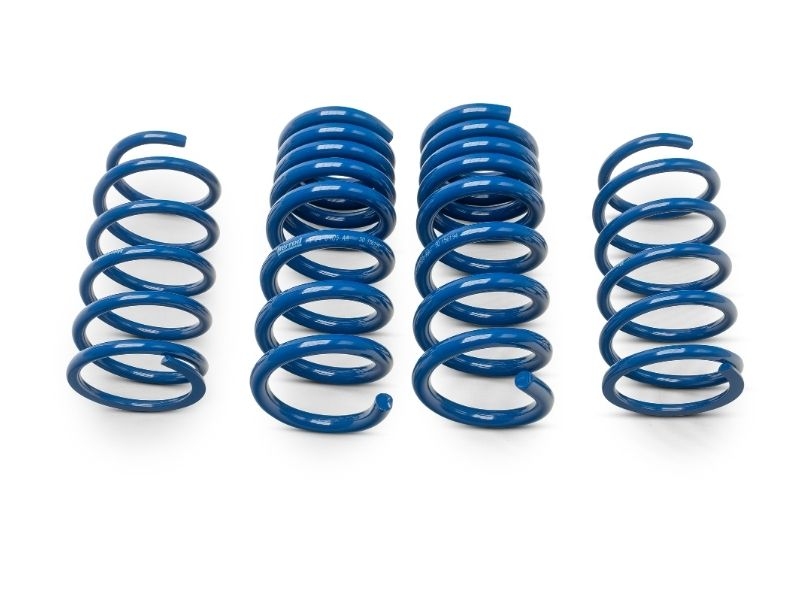 Herrod Performance S650 Lowering Spring Set (2024+)